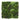 Green Walls