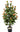 Plants with Flowers