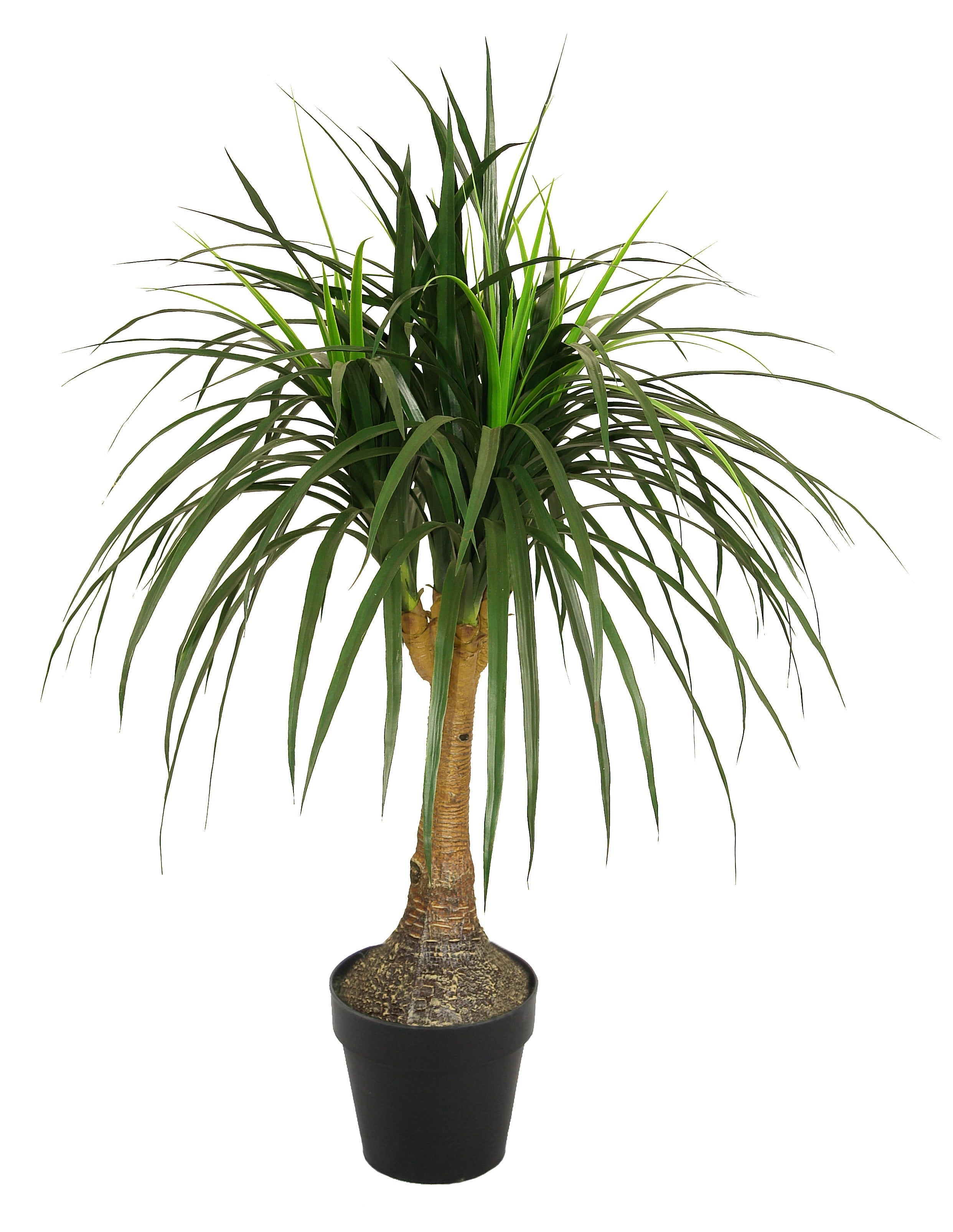 artificial ponytail palm Artificial Ponytail Palm