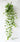 Wired Trailing Plant