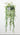 Button Fern Hanging Bowl
