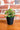 Succulent In Pot