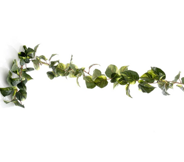 Garlands and Vines