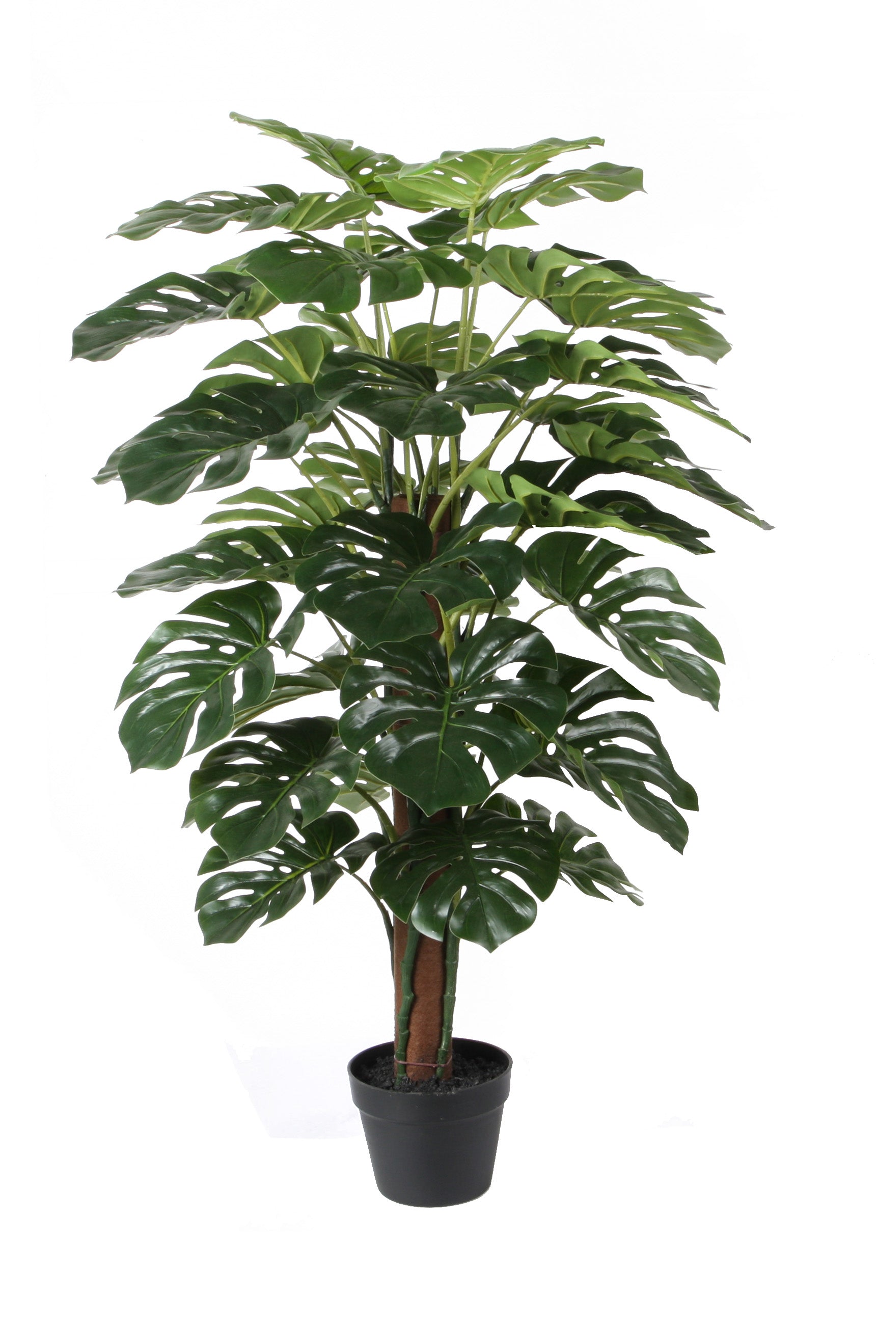 Hayley Monstera 120cm