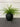 Artificial Grass clump