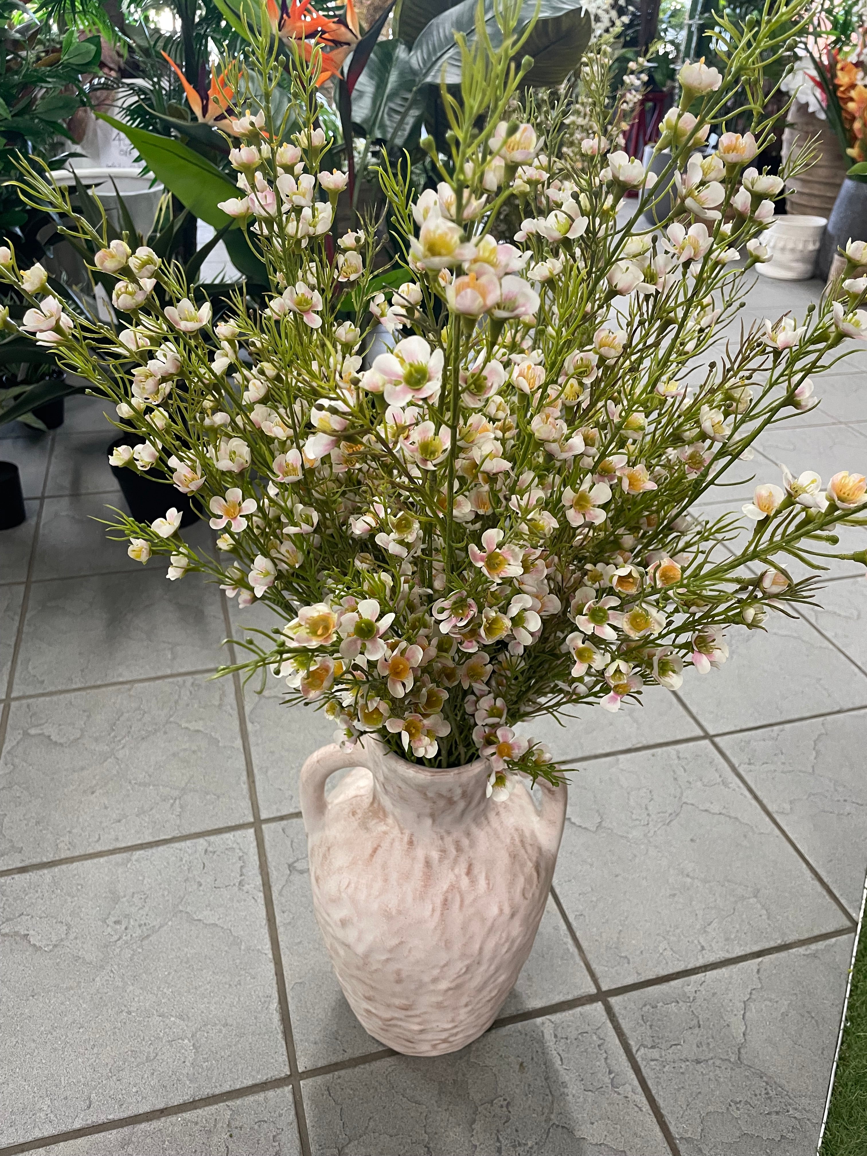 Chamelacium thin - White Pink