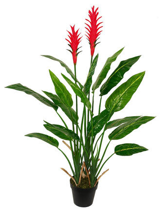 Matilda Red Bird of Paradise 120cm