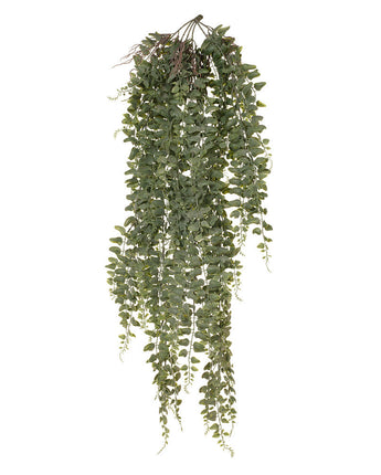 Fern Jewel Hanging Bush