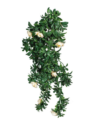 Camellia Hanging Bush Uv Treated - White