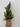 Christmas tree LED lights - table top