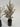 Pampas Grass & Aralia Mix - Specimen Bottle