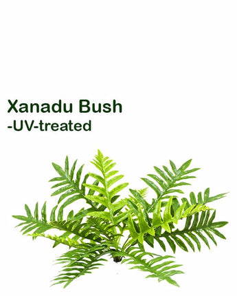 Xanadu