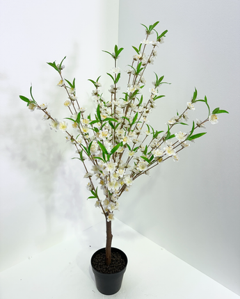 Annabel 135cm Blossom