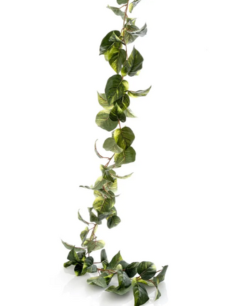 Pothos Garland