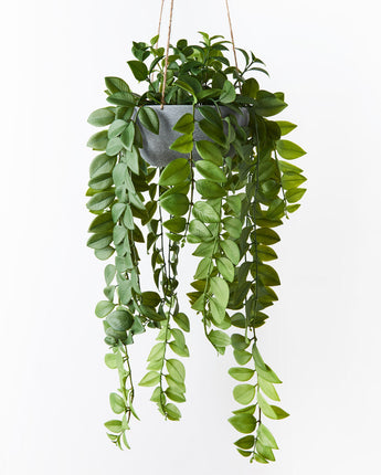 Honey Locust Hanging Bowl