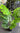 Artificial Monstera 120cm