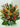 Heliconia - Orange