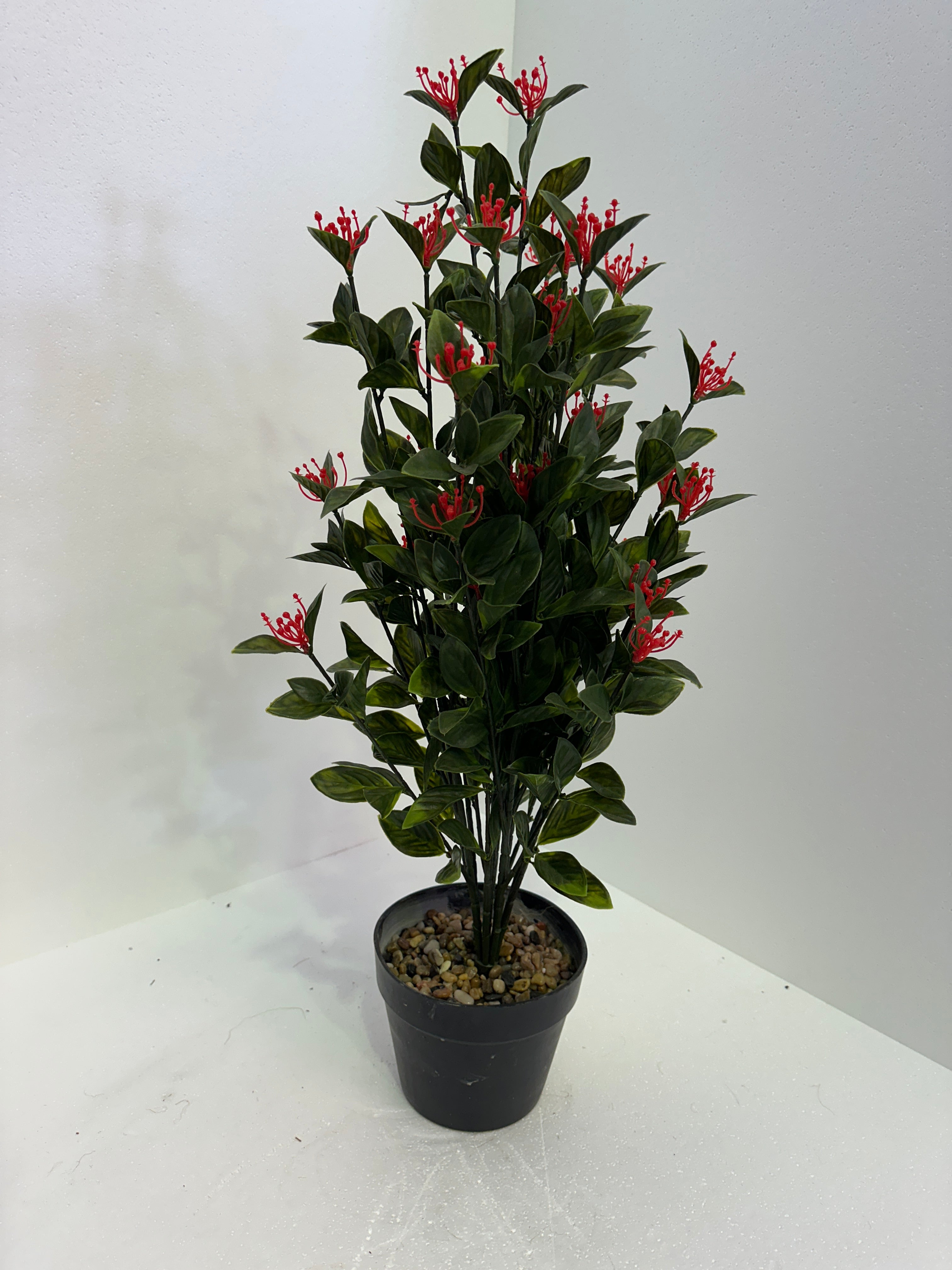 Gloxinia Spray Red Flowers Uv Treated
