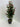 Gloxinia Spray Red Flowers Uv Treated