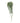 Button Fern Hanging Bush - Dark Green