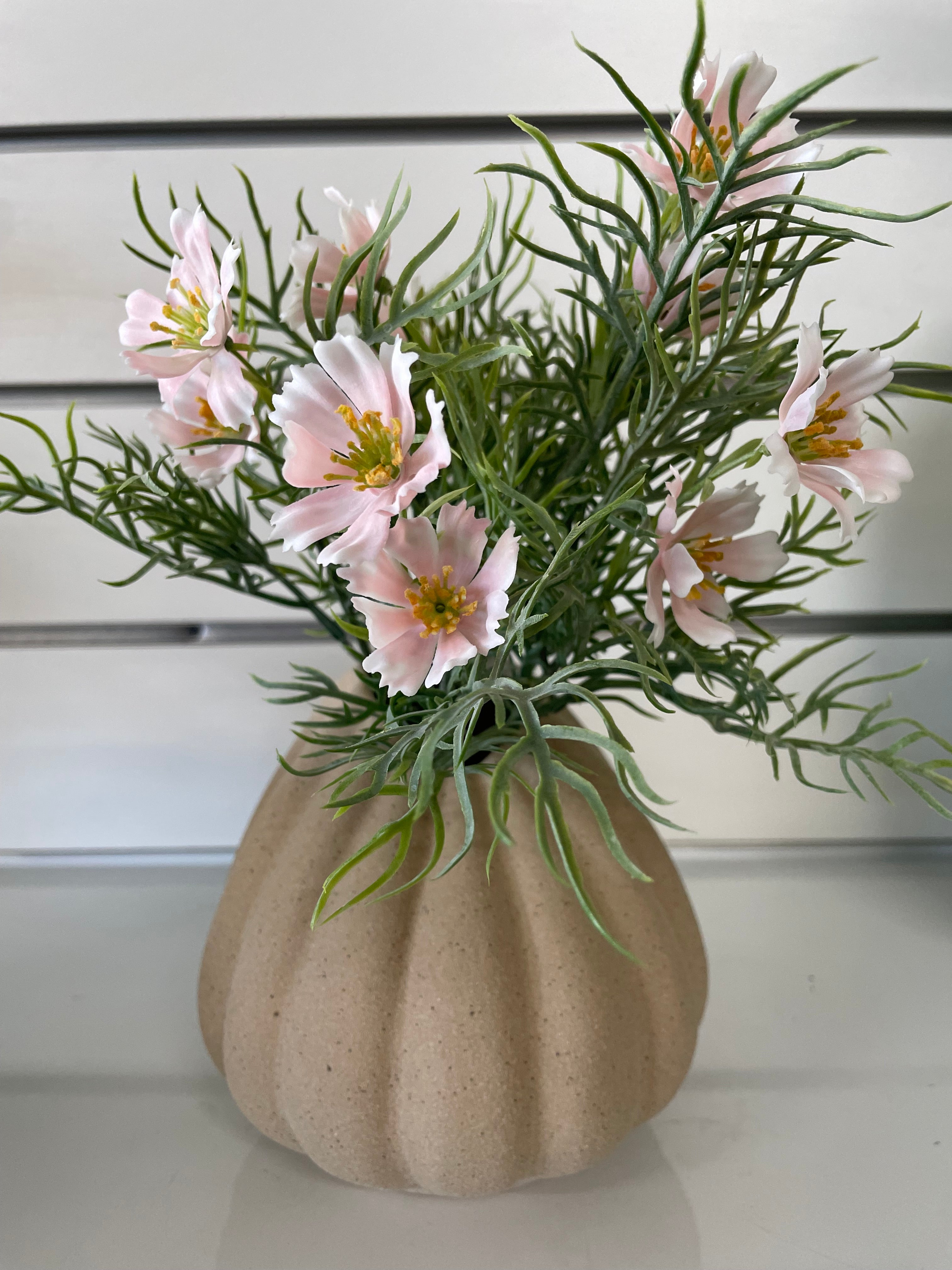 Cosmos Bush