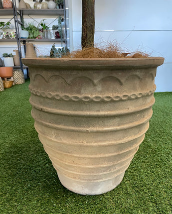 Palermo Sicilian Planters