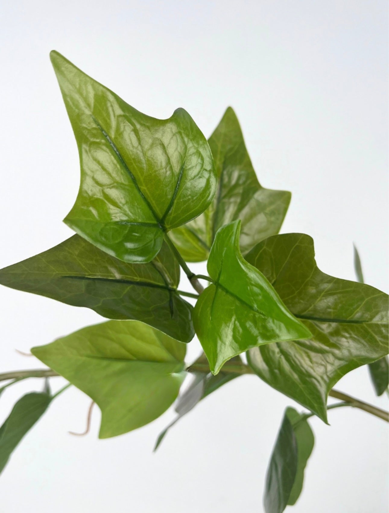 Ivy Garland UV Treated