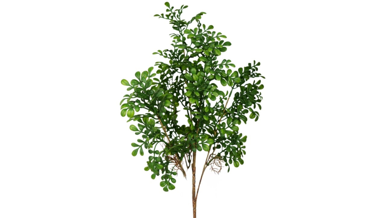 Milanese Grass Branch