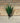 Artificial Agave Spikey UV