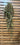 Artificial Button Fern Hanging Bush - Rust