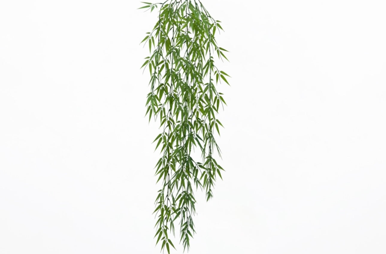 Hanging Bamboo -  Green