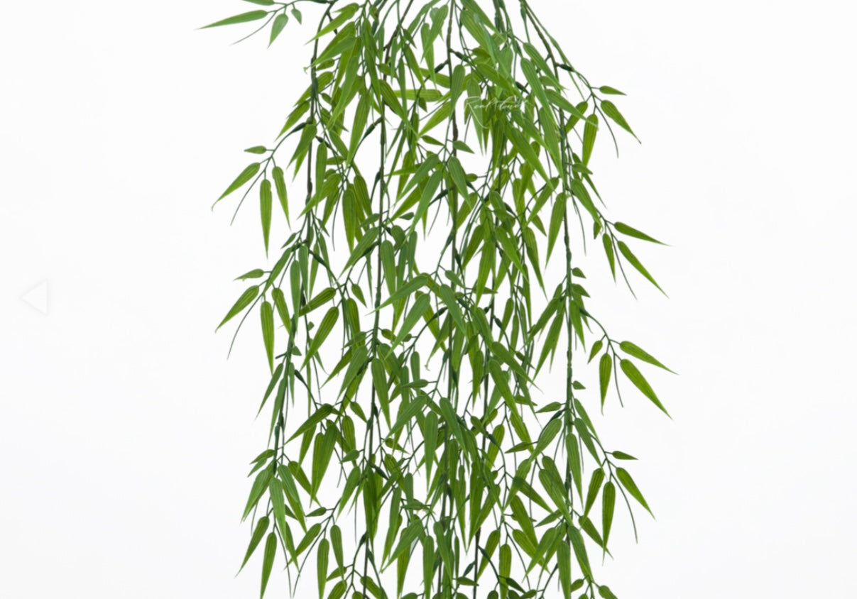 Hanging Bamboo -  Green