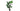 Monstera 135cm