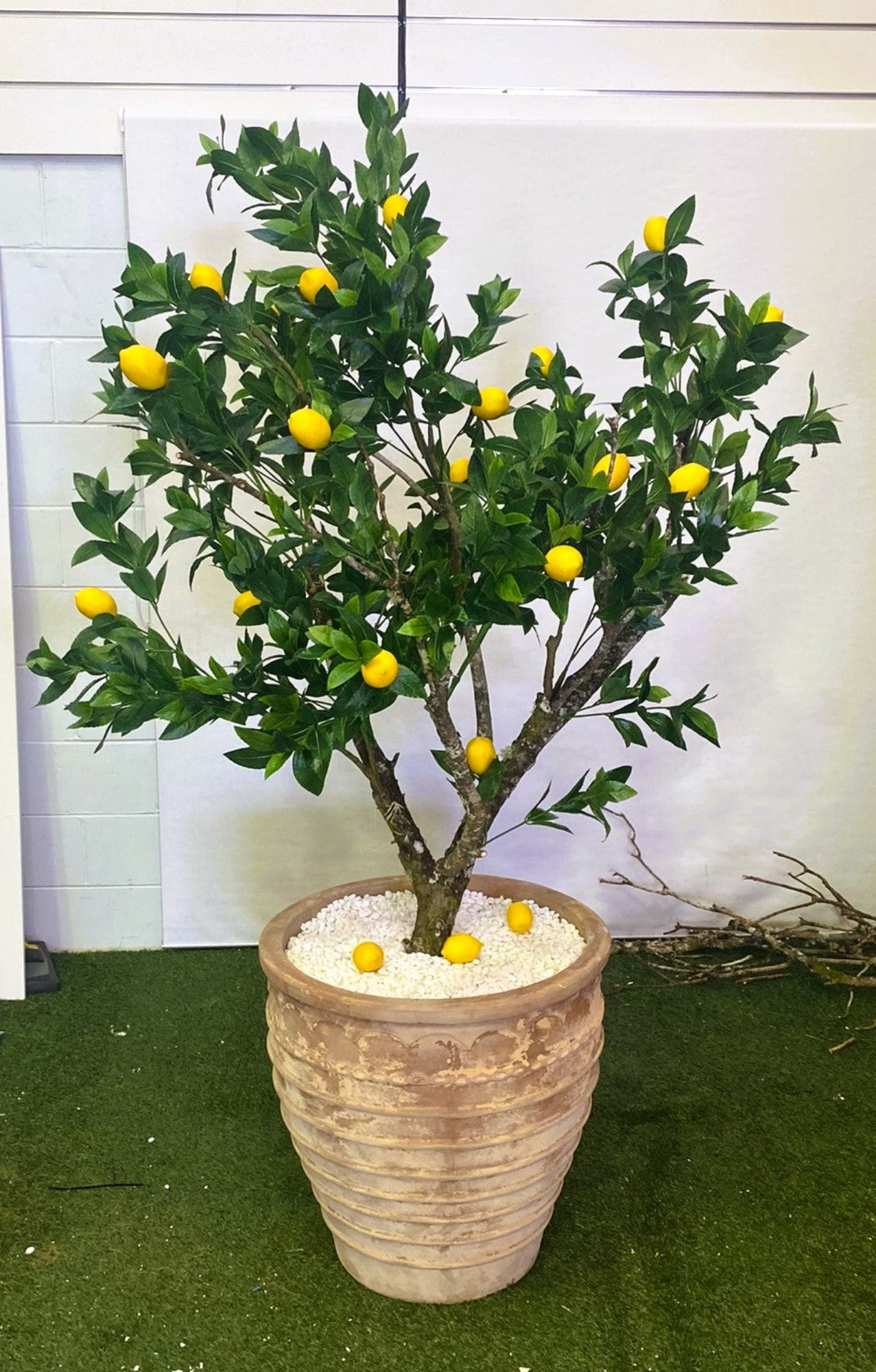 Lemon Tree and Sicilan Pot - Custom made (Pickup only)