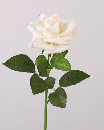 Rose - Real touch - Champagne