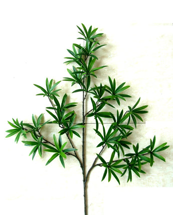 Spray - Podocarpus Uv Treated (12)