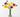 Poppy Mix in Vase