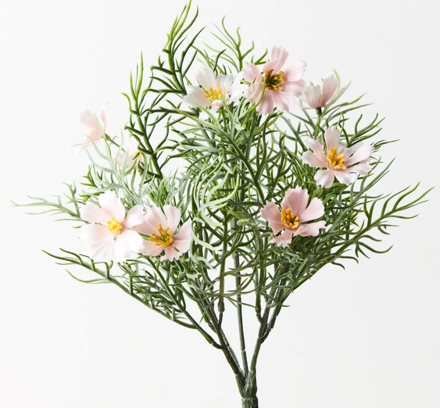 Cosmos Bush