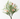 Cosmos Bush