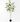 Ficus Tree Real touch