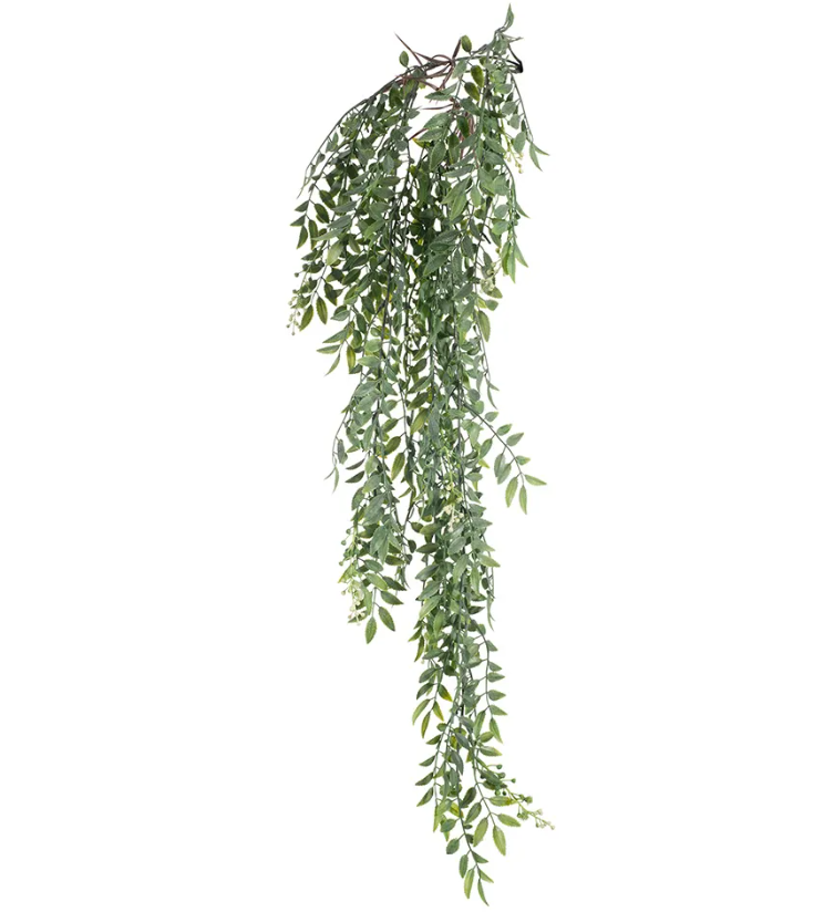 Wattle Hanging Bush Cream