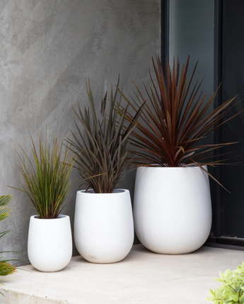 Cigar Pots - White