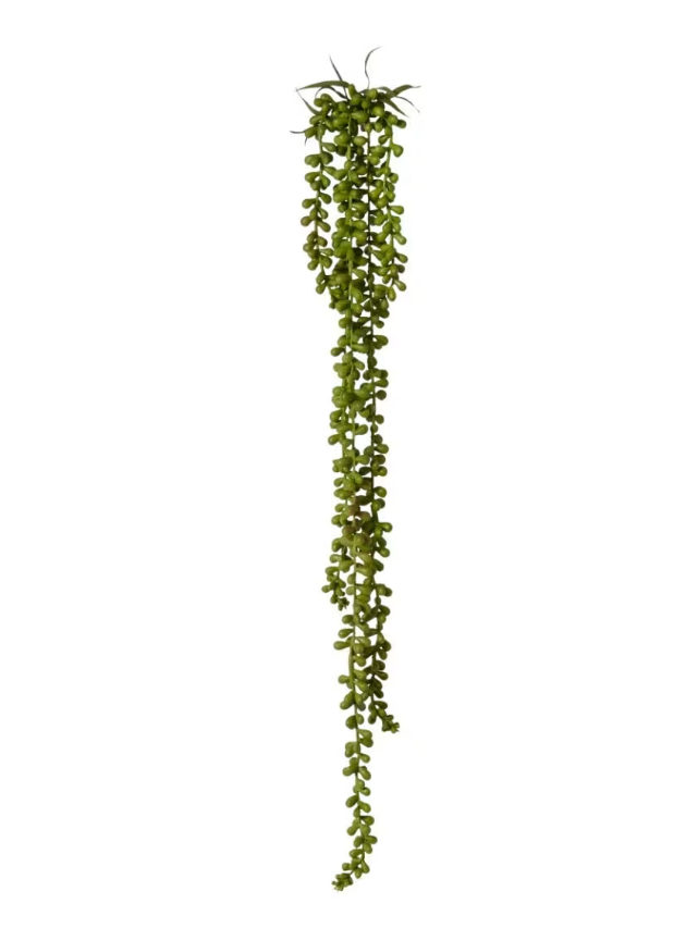 Pippa - String of pearls