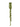 Pippa - String of pearls