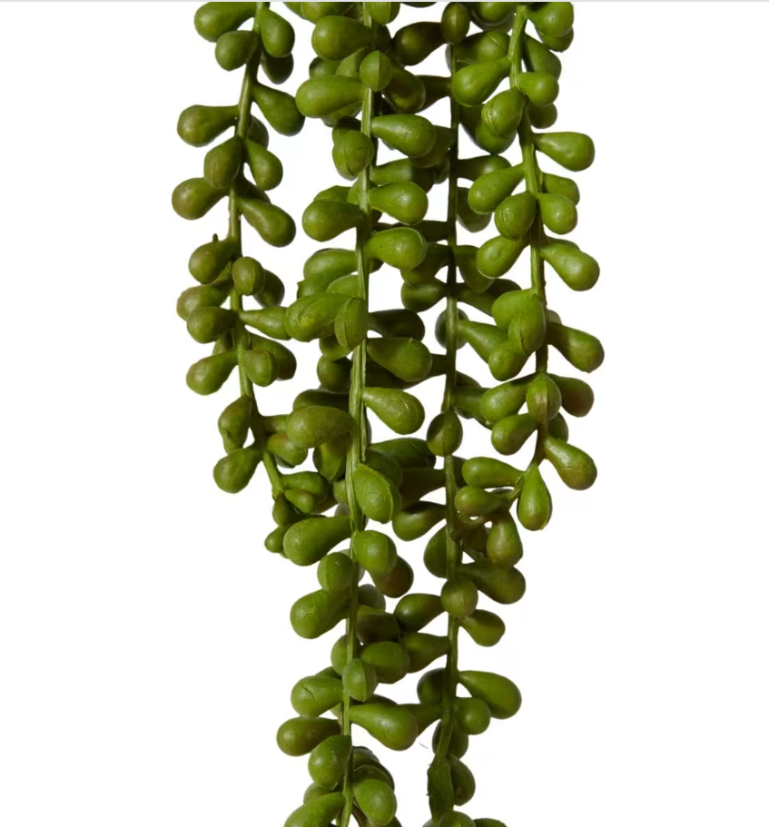 Pippa - String of pearls