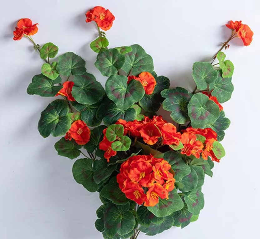 Geranium UV 65cm