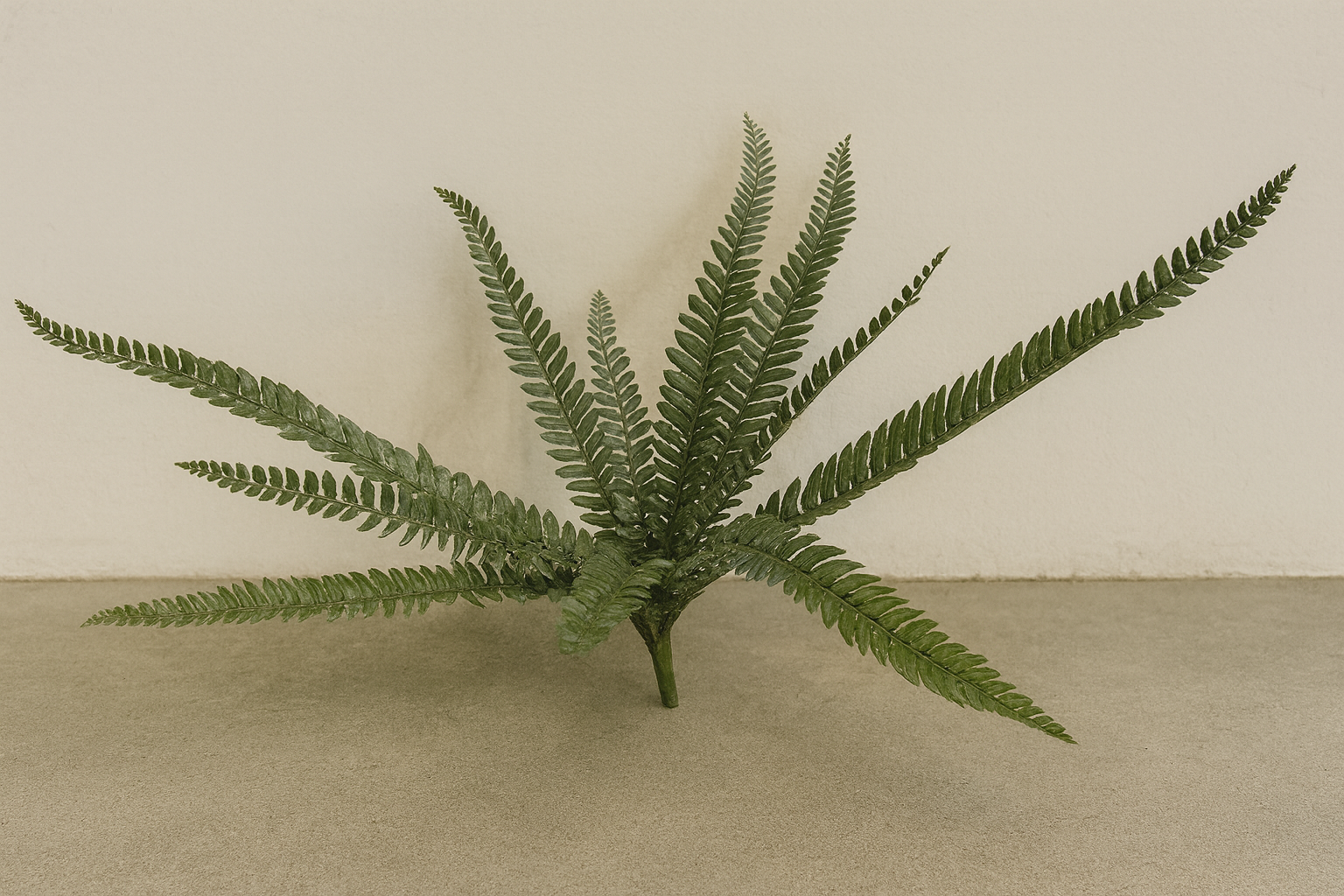 Fishbone UV Fern