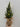 Christmas tree LED lights - table top