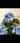 Artificial Hydrangea Plant 95cm - UV