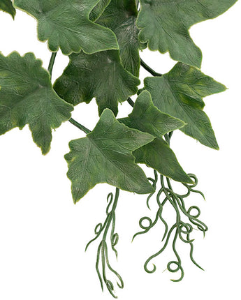 Ivy Hanging Plant Uv Treated